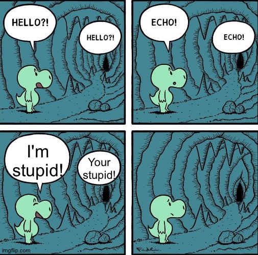echo | I'm stupid! Your stupid! | image tagged in echo | made w/ Imgflip meme maker
