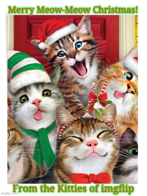 Merry Meow-Meow Christmas! From the Kitties of imgflip | image tagged in merry christmas,kitties | made w/ Imgflip meme maker