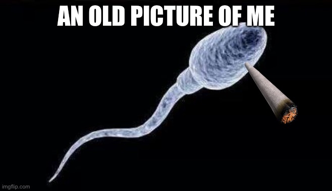 d | AN OLD PICTURE OF ME | image tagged in da sperm | made w/ Imgflip meme maker