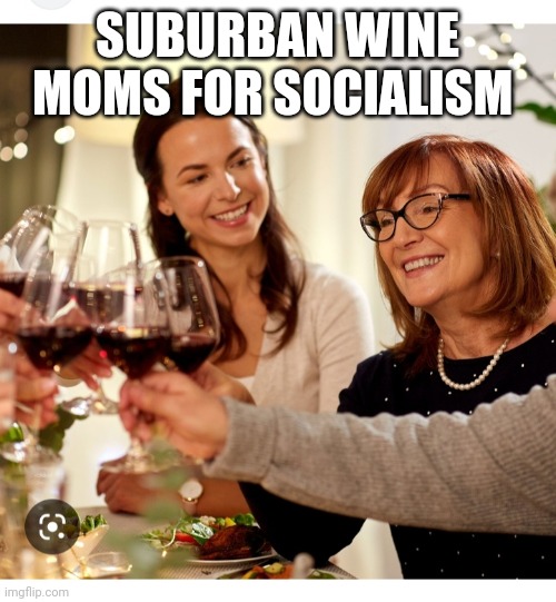 Brainwashed by "the View" | SUBURBAN WINE MOMS FOR SOCIALISM | image tagged in liberal logic,losers,triggered liberal | made w/ Imgflip meme maker