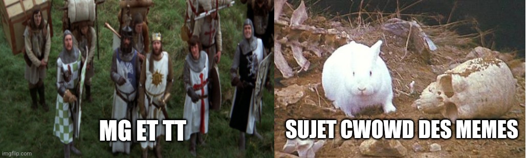 SUJET CWOWD DES MEMES; MG ET TT | image tagged in monty python and the holy grail white rabbit | made w/ Imgflip meme maker