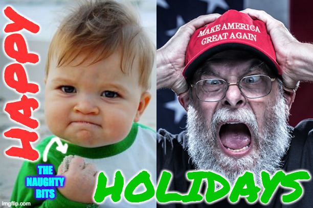 When you haz them by the naughty bits. | HAPPY; HOLIDAYS; THE
NAUGHTY
BITS | image tagged in memes,success kid original,maga tears,happy holidays,naughty bits | made w/ Imgflip meme maker