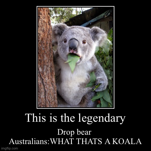 image tagged in funny,demotivationals,suprised koala,australia | made w/ Imgflip demotivational maker
