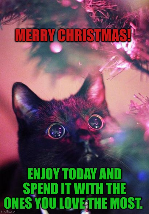 So sorry about not posting... I'll be back tomorrow. | MERRY CHRISTMAS! ENJOY TODAY AND SPEND IT WITH THE ONES YOU LOVE THE MOST. | image tagged in merry christmas,cats | made w/ Imgflip meme maker