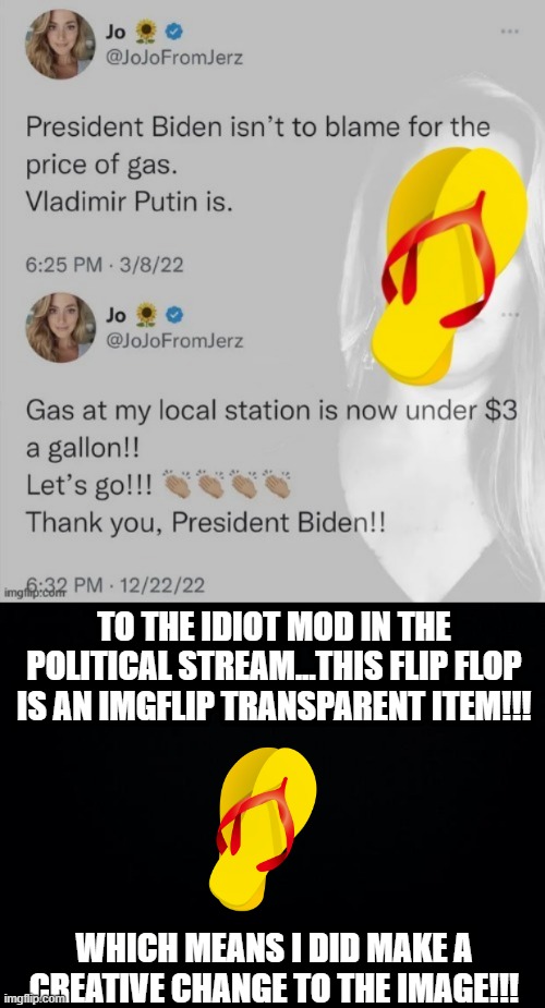 Dumb | TO THE IDIOT MOD IN THE POLITICAL STREAM...THIS FLIP FLOP IS AN IMGFLIP TRANSPARENT ITEM!!! WHICH MEANS I DID MAKE A CREATIVE CHANGE TO THE IMAGE!!! | image tagged in black background | made w/ Imgflip meme maker