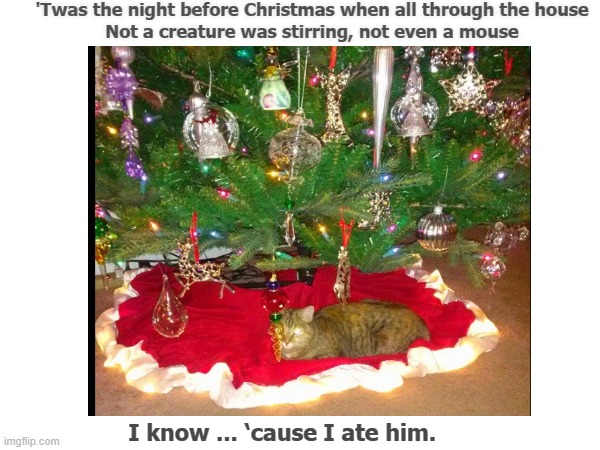 Jack Night Before Christmas | 'Twas the night before Christmas when all through the house
Not a creature was stirring, not even a mouse; I know ... ‘cause I ate him. | image tagged in cute cat | made w/ Imgflip meme maker