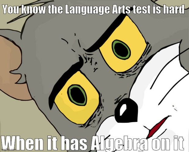 Unsettled Tom | You know the Language Arts test is hard; When it has Algebra on it | image tagged in memes,unsettled tom,school,funny memes | made w/ Imgflip meme maker