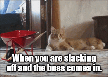 Caught Slacking - Imgflip