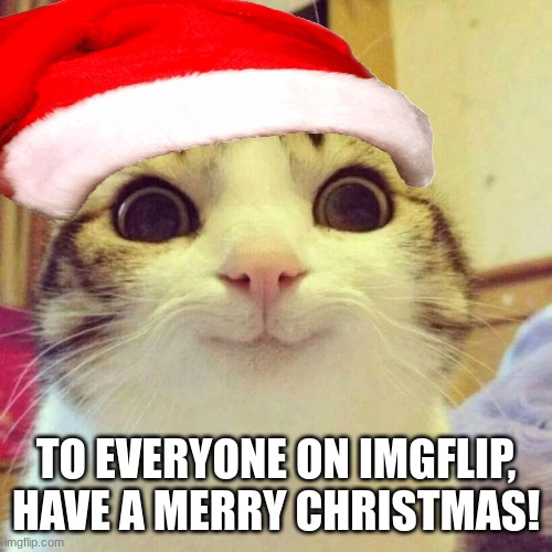 I hope y'all have a wonderful one! | TO EVERYONE ON IMGFLIP, HAVE A MERRY CHRISTMAS! | image tagged in christmas,smiling cat | made w/ Imgflip meme maker