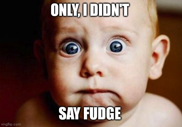 Scared Face | ONLY, I DIDN'T; SAY FUDGE | image tagged in scared face | made w/ Imgflip meme maker