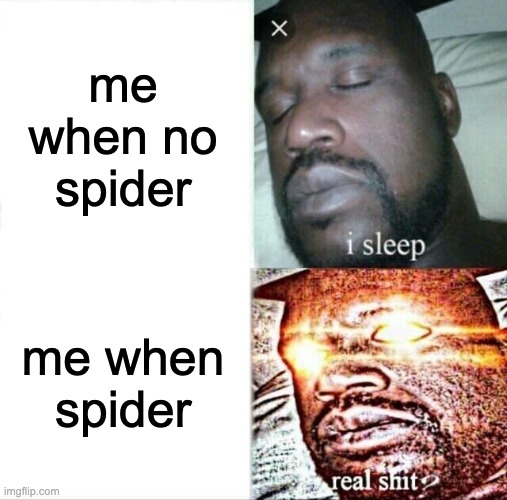 Sleeping Shaq | me when no spider; me when spider | image tagged in memes,sleeping shaq | made w/ Imgflip meme maker