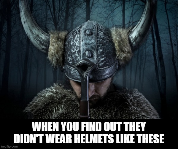 No Horns | WHEN YOU FIND OUT THEY DIDN'T WEAR HELMETS LIKE THESE | image tagged in vikings | made w/ Imgflip meme maker
