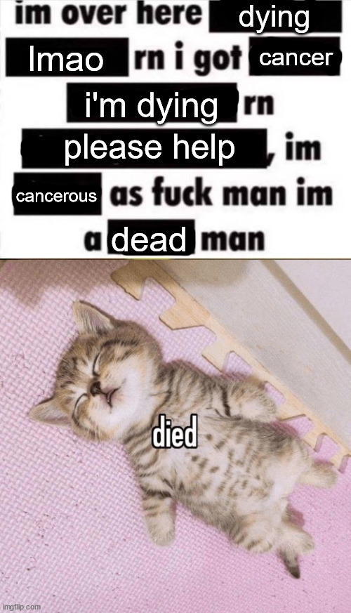 dying; lmao; cancer; i'm dying; please help; cancerous; dead | image tagged in im over here,cat died | made w/ Imgflip meme maker