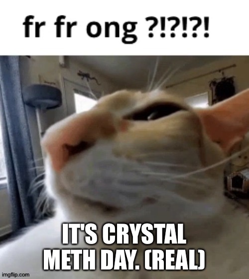 fr fr ong | IT'S CRYSTAL METH DAY. (REAL) | image tagged in fr fr ong | made w/ Imgflip meme maker