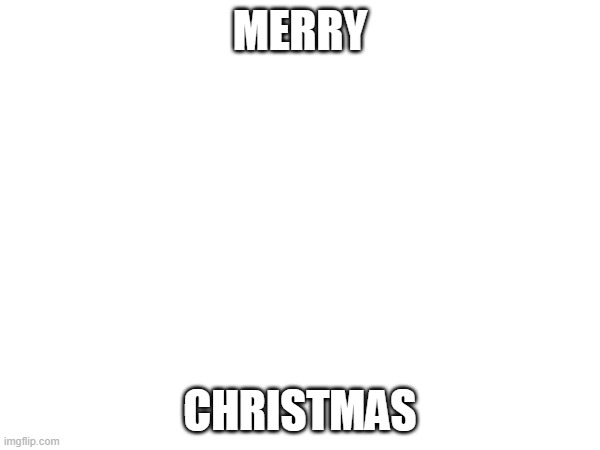MERRY CHRISTMAS | MERRY; CHRISTMAS | image tagged in merry christmas,christmas | made w/ Imgflip meme maker