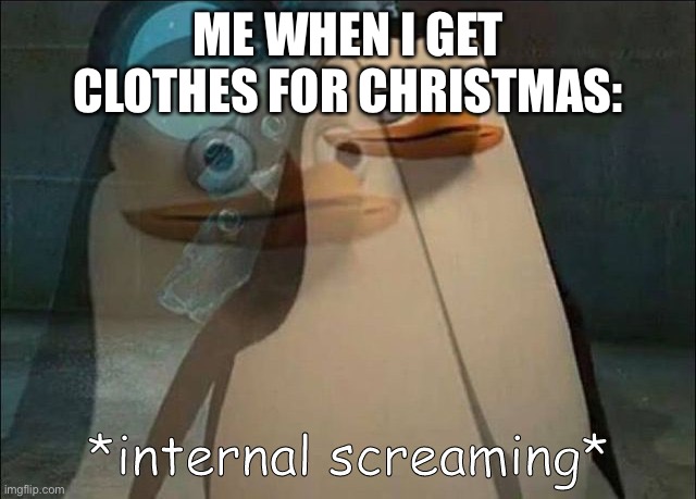 Private Internal Screaming | ME WHEN I GET CLOTHES FOR CHRISTMAS: | image tagged in private internal screaming,christmas | made w/ Imgflip meme maker