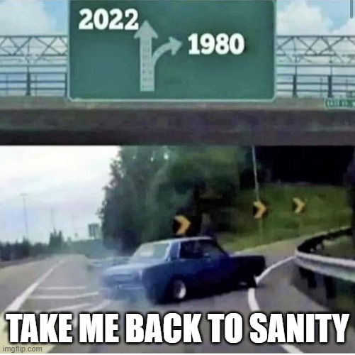 Bring back the 80's | TAKE ME BACK TO SANITY | image tagged in bring back the 80's | made w/ Imgflip meme maker
