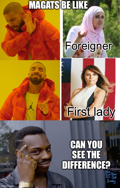 MAGATS BE LIKE; Foreigner; First lady; CAN YOU SEE THE DIFFERENCE? | image tagged in memes,drake hotline bling,roll safe think about it | made w/ Imgflip meme maker