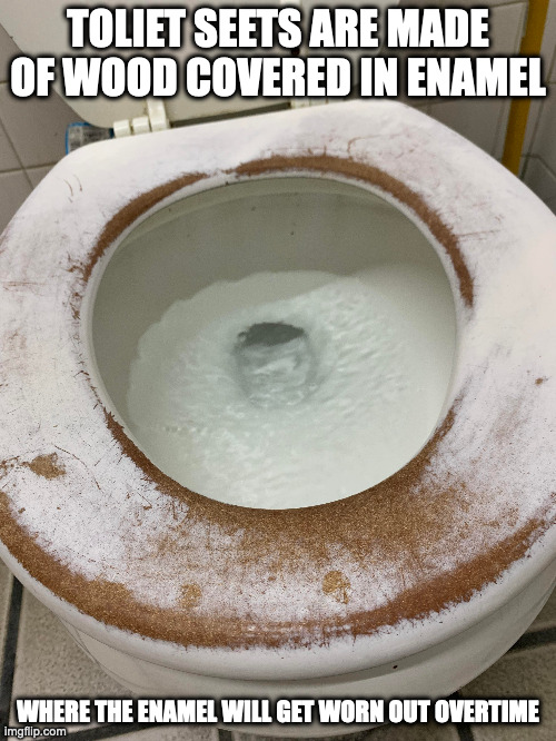 Toliet Seat With Worn Enamel | TOLIET SEETS ARE MADE OF WOOD COVERED IN ENAMEL; WHERE THE ENAMEL WILL GET WORN OUT OVERTIME | image tagged in toliet,memes | made w/ Imgflip meme maker