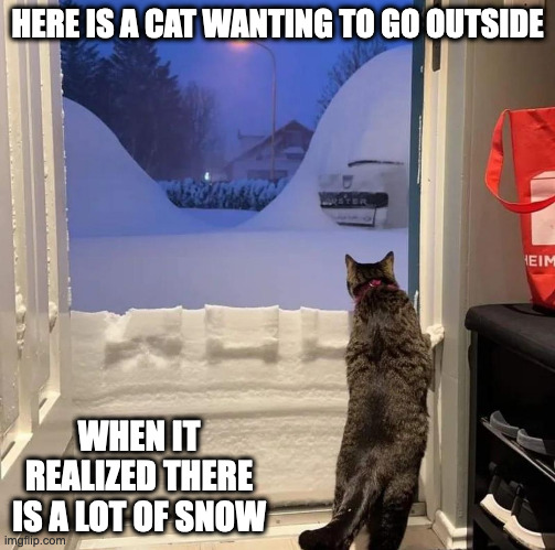 Cat By a Snow-Covered Door | HERE IS A CAT WANTING TO GO OUTSIDE; WHEN IT REALIZED THERE IS A LOT OF SNOW | image tagged in winter,snow,cats,memes | made w/ Imgflip meme maker