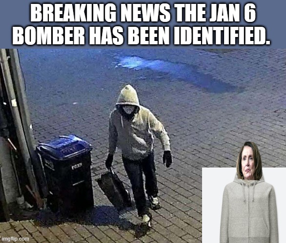 Didn't you just know it.. it would be her.. | BREAKING NEWS THE JAN 6 BOMBER HAS BEEN IDENTIFIED. | image tagged in democrat | made w/ Imgflip meme maker