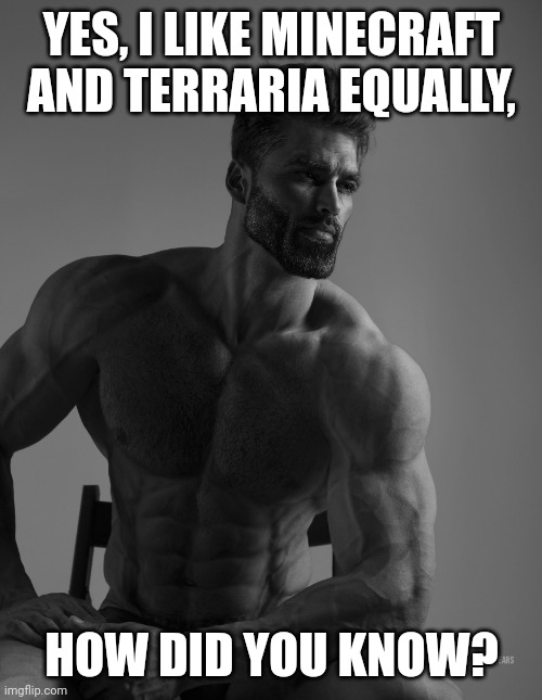 Giga Chad | YES, I LIKE MINECRAFT AND TERRARIA EQUALLY, HOW DID YOU KNOW? | image tagged in giga chad | made w/ Imgflip meme maker