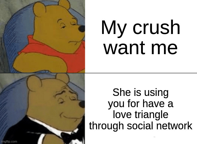 social network | My crush want me; She is using you for have a love triangle through social network | image tagged in memes,tuxedo winnie the pooh | made w/ Imgflip meme maker