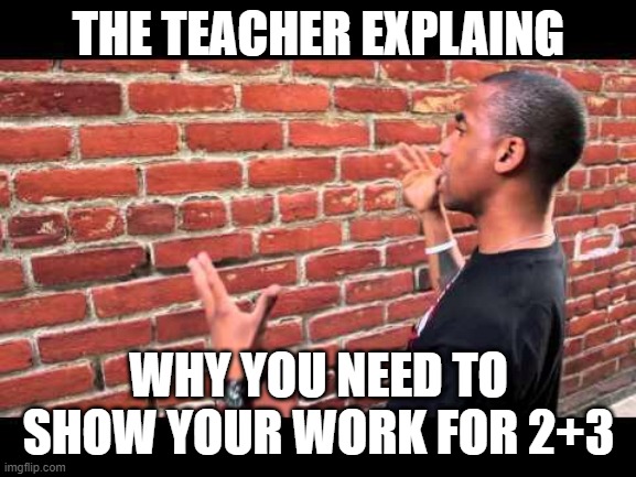 maths teacher be like | THE TEACHER EXPLAING; WHY YOU NEED TO SHOW YOUR WORK FOR 2+3 | image tagged in brick wall guy | made w/ Imgflip meme maker