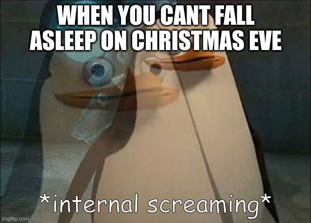 festive title | WHEN YOU CANT FALL ASLEEP ON CHRISTMAS EVE | image tagged in private internal screaming | made w/ Imgflip meme maker