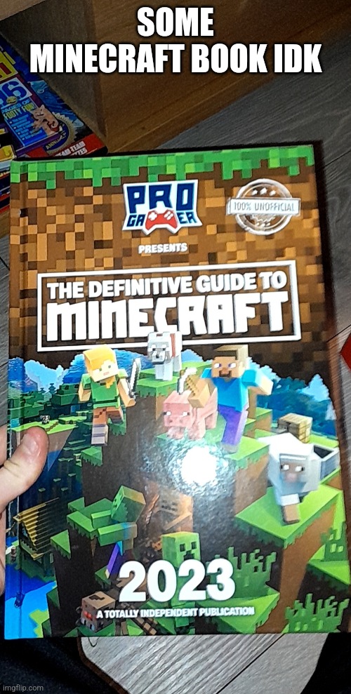 SOME MINECRAFT BOOK IDK | made w/ Imgflip meme maker