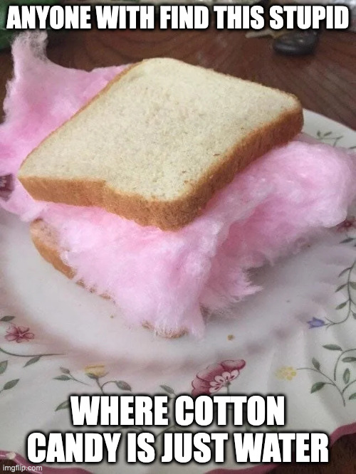 Cotton Candy Sandwich | ANYONE WITH FIND THIS STUPID; WHERE COTTON CANDY IS JUST WATER | image tagged in food,memes | made w/ Imgflip meme maker