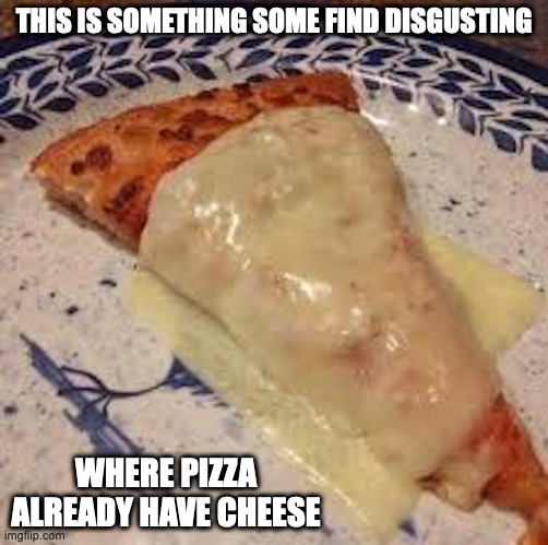 Craft Cheese Backed Onto a Slice of Pizza | THIS IS SOMETHING SOME FIND DISGUSTING; WHERE PIZZA ALREADY HAVE CHEESE | image tagged in pizza,food,memes | made w/ Imgflip meme maker