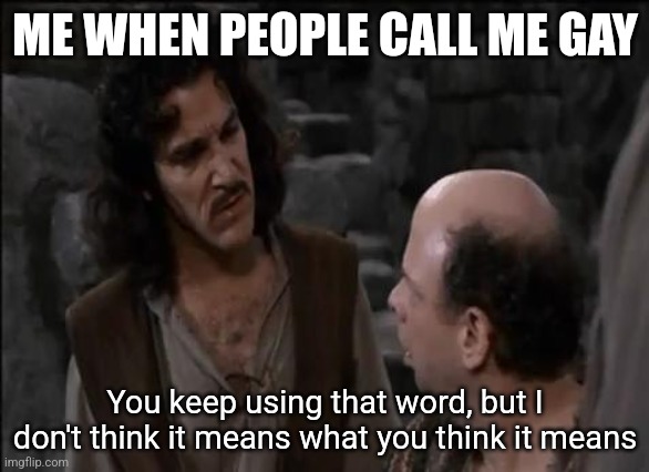 I hate when people use this word wrongly | ME WHEN PEOPLE CALL ME GAY; You keep using that word, but I don't think it means what you think it means | image tagged in you keep using that word | made w/ Imgflip meme maker