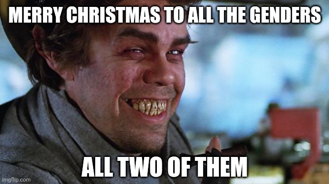 Merry Christmas! | MERRY CHRISTMAS TO ALL THE GENDERS; ALL TWO OF THEM | image tagged in scrooged christmas past | made w/ Imgflip meme maker