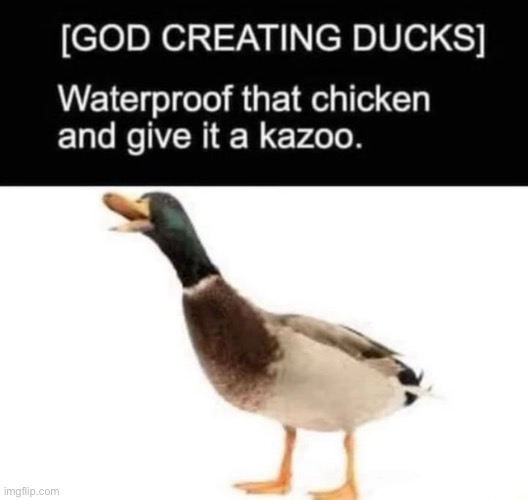 Waterproof duck | made w/ Imgflip meme maker