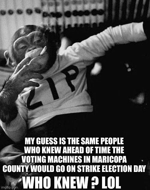 Zip the Smoking Chimp | MY GUESS IS THE SAME PEOPLE WHO KNEW AHEAD OF TIME THE VOTING MACHINES IN MARICOPA COUNTY WOULD GO ON STRIKE ELECTION DAY WHO KNEW ? LOL | image tagged in zip the smoking chimp | made w/ Imgflip meme maker