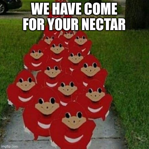 Ugandan knuckles army | WE HAVE COME FOR YOUR NECTAR | image tagged in ugandan knuckles army,knuckles | made w/ Imgflip meme maker