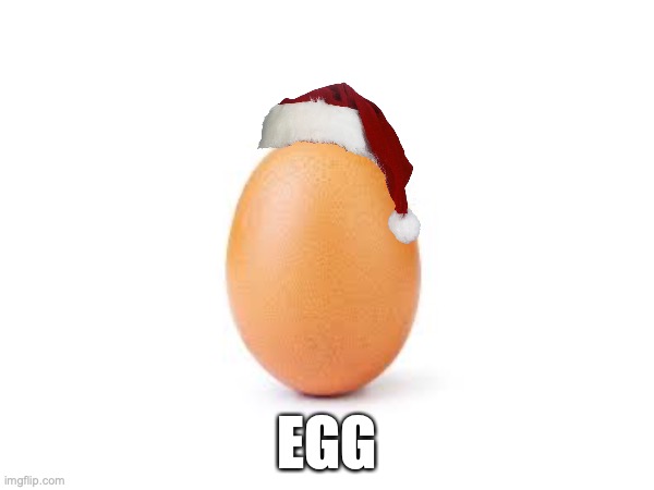 Egg | EGG | image tagged in eggs,egg | made w/ Imgflip meme maker