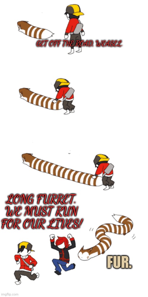Meowth selects Long Furret for VP | GET OFF THE ROAD, WEASEL. LONG FURRET. WE MUST RUN FOR OUR LIVES! FUR. | image tagged in stop it get some help,meowth,long furret,pokemon,vote | made w/ Imgflip meme maker