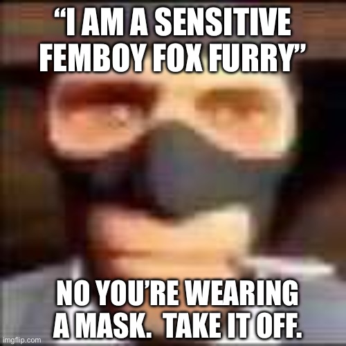 spi | “I AM A SENSITIVE FEMBOY FOX FURRY”; NO YOU’RE WEARING A MASK.  TAKE IT OFF. | image tagged in spi | made w/ Imgflip meme maker