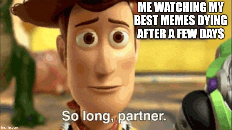 Every single time! | ME WATCHING MY BEST MEMES DYING AFTER A FEW DAYS | image tagged in so long partner | made w/ Imgflip meme maker
