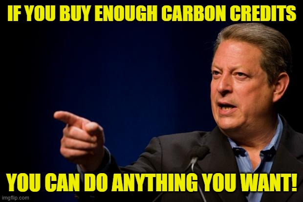 al gore troll | IF YOU BUY ENOUGH CARBON CREDITS YOU CAN DO ANYTHING YOU WANT! | image tagged in al gore troll | made w/ Imgflip meme maker