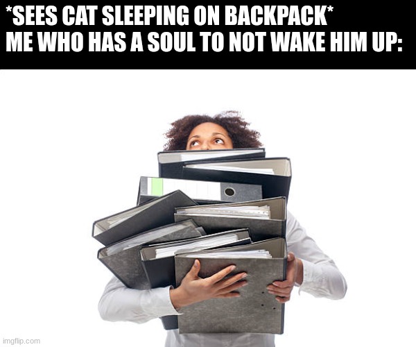 Regret it Later but Worth It Right Now | *SEES CAT SLEEPING ON BACKPACK*
ME WHO HAS A SOUL TO NOT WAKE HIM UP: | image tagged in cats,school | made w/ Imgflip meme maker