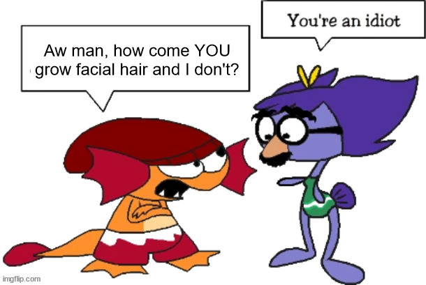 New temp(I used the original text to show you how it looks) | Aw man, how come YOU grow facial hair and I don't? | image tagged in you're an idiot blank | made w/ Imgflip meme maker