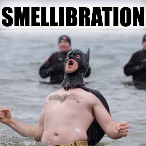 Batman Celebrates | SMELLIBRATION | image tagged in batman celebrates | made w/ Imgflip meme maker