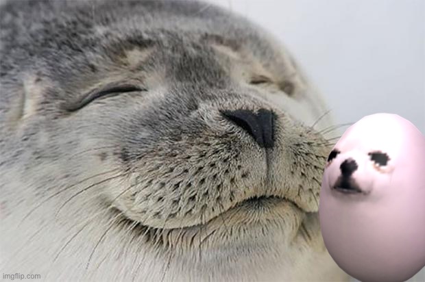 Satisfied Seal Meme | image tagged in memes,satisfied seal | made w/ Imgflip meme maker