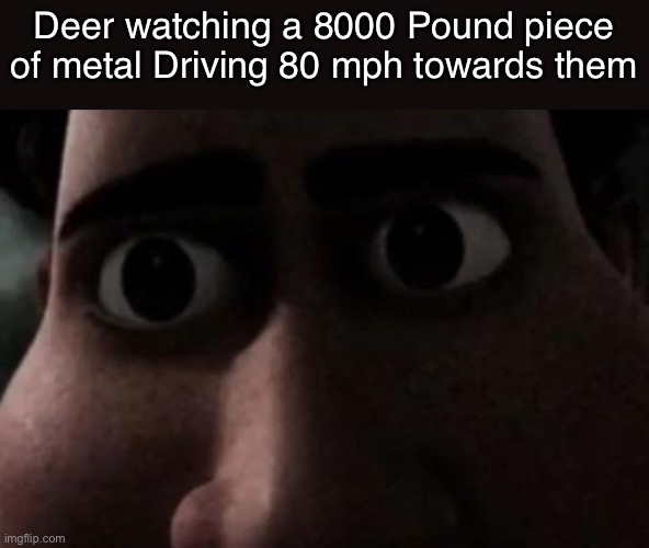 Titan stare | Deer watching a 8000 Pound piece of metal Driving 80 mph towards them | image tagged in titan stare | made w/ Imgflip meme maker