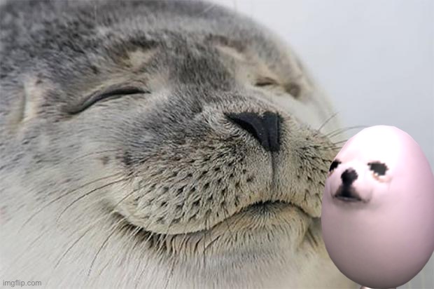 Satisfied Seal Meme | image tagged in memes,satisfied seal | made w/ Imgflip meme maker