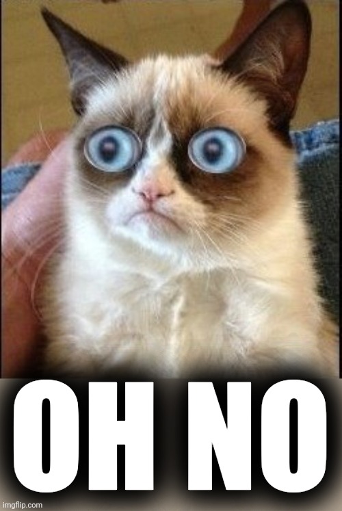 Grumpy Cat Shocked | OH NO | image tagged in grumpy cat shocked | made w/ Imgflip meme maker