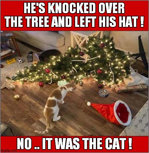 Ooh .. Santa Has Been ! | HE'S KNOCKED OVER THE TREE AND LEFT HIS HAT ! NO .. IT WAS THE CAT ! | image tagged in cats,santa,christmas tree | made w/ Imgflip meme maker